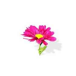 Orchid FLOWER SUNFLOWER PLANT GARDEN FURNITURE 00N FOREST NATURE FRUIT APPLE LEAVES MAGIC MEDIEVAL PEAR TOMATO PREHISTORY FANTASY VEGETABLE