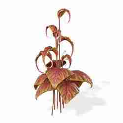 Orchid FLOWER SUNFLOWER PLANT GARDEN FURNITURE FOREST NATURE FRUIT APPLE LEAVES MAGIC MEDIEVAL PEAR TOMATO PREHISTORY FANTASY VEGETABLE 14