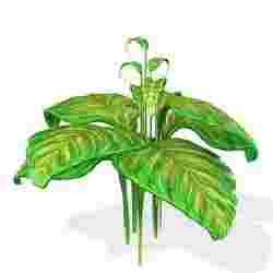 Orchid FLOWER SUNFLOWER PLANT GARDEN FURNITURE FOREST NATURE FRUIT APPLE LEAVES MAGIC MEDIEVAL PEAR TOMATO PREHISTORY FANTASY VEGETABLE 18