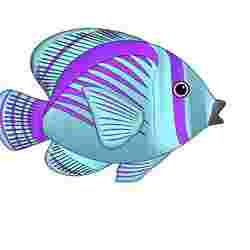 POISSONS FISH 3D MODEL ORCHID FISH OCEAN SEA