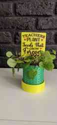 teachers plant seeds