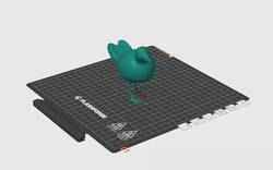 this bird tips