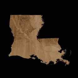 Topographic Map of Louisiana – 3D Terrain