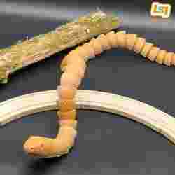 Train-Snake compatible with IKEA/BRIO easy to assemble