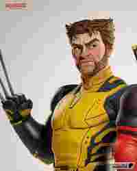 Wolverine - Toon - Free