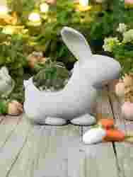 3D Tavşan Vazo - Sevimli Paskalya Dekorasyonu 🐰🥕