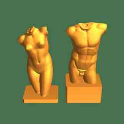 Male torso body
