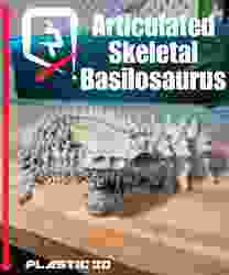Eklemli İskelet Basilosaurus