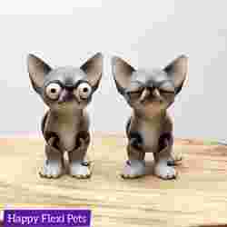 Chihuahua yerinde baskı mafsallı flexi köpek