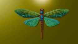 Dragonfly fridge magnet