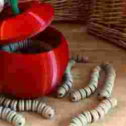 Fidget Worms