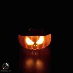 Jack Balkabağı Cadısı 🎃💀🧹