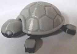 bewegliche Schildkröte