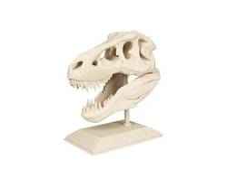 trex kafatası