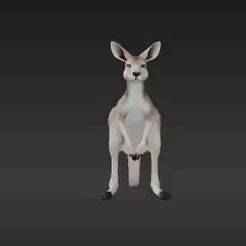 Dynamic Australian Kangaroo Statue - High-Detail Wild Animal Print - Ready-to-Hop Desktop Figure