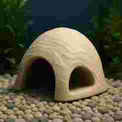 Fish tank or decorative house