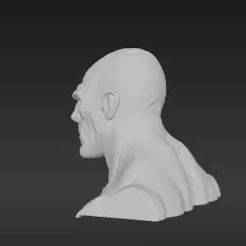 Hulking Warrior Headsculpt for Custom Figures - Fan Art Detailed Print Ready