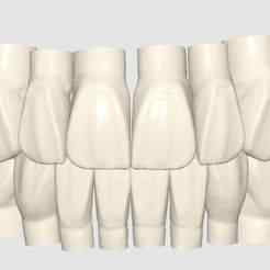 Medit link ClinicCad teeth library (6 models)
