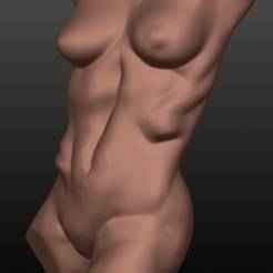 Sculpted Perfect female bust with loose base