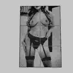 WALL ART - a sexy blonde woman in lingering stays and poses on a sofa.