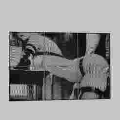 WALL ART - sexy blonde babe gets fucked and fucked by a guy