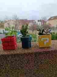 Küçük mario çiçek saksıları - Petits pots de fleur mario
