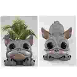 "JUNIOR" THE FRENCHIE -ÇİÇEK SAKSISI / HEYKELCİK -2 DESIGNS