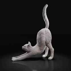 Esneyen kedi