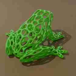 Voronoi Frogii