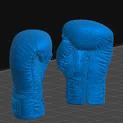 Boxing Gloves / BOX CUSTOM GLOVES