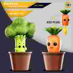 CARROT & BROCCOLI PLUG