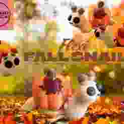 Flexi Fall Snail