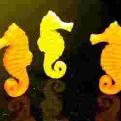 Seahorse - Balanced so it stands on its tail!