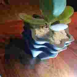 Starflowerpot