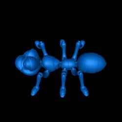 flexy ant