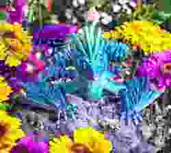 Çiçek Sprite
