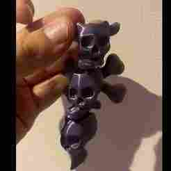 Flexy Skull and Bones