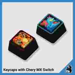 Pokemon Keycap mh - Charizard- Feraligatr