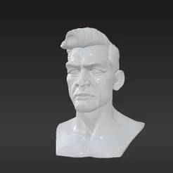 Simplified Male Head Model with Clean Lines and Bold Expression