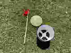 Flaschen Vasen Scan