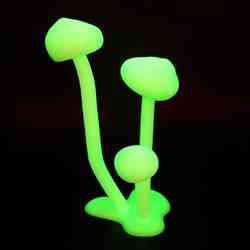 Glowing Mushrooms
