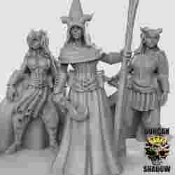 Tiefling Sorcerers (pre supported)