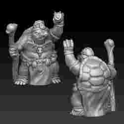 Turtle shaman