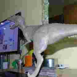 Velociraptor Concept