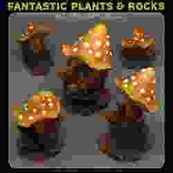 DANGEROUS MUSHROOMS