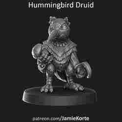 Hummingbird Druid