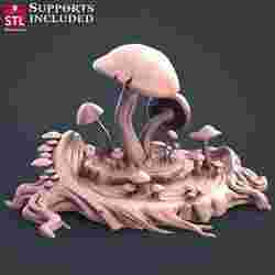 Druid Mushrooms
