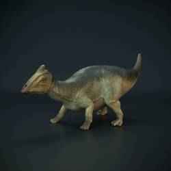 Parasaurolophus baby standing - dinosaur