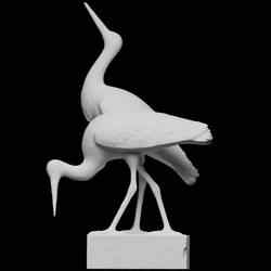 Stork couple