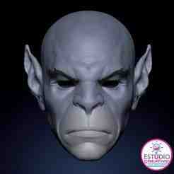 MASCARA / CASCO PANTHRO - MASK/HELMET PANTHRO